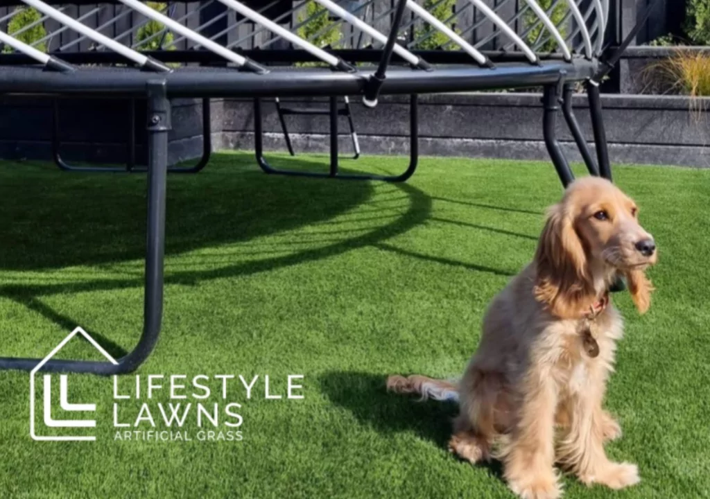 Is Artificial Grass Safe for Dogs
