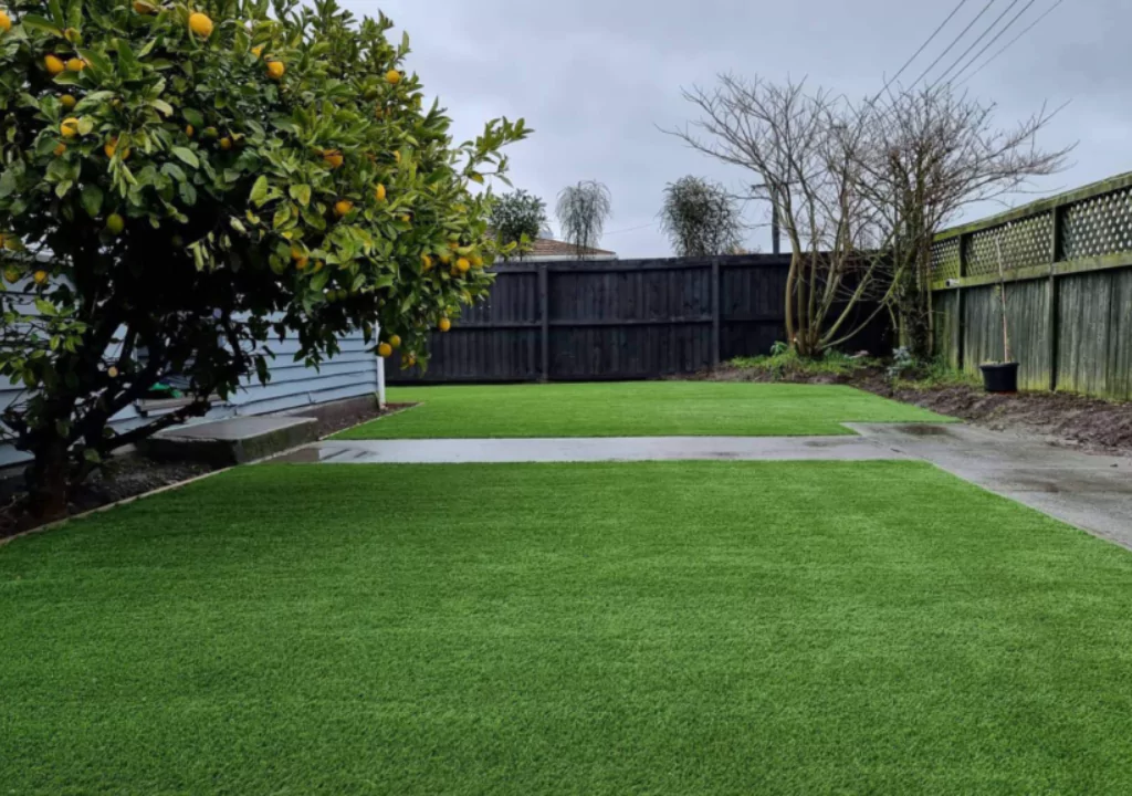 Artificial Grass Appearance