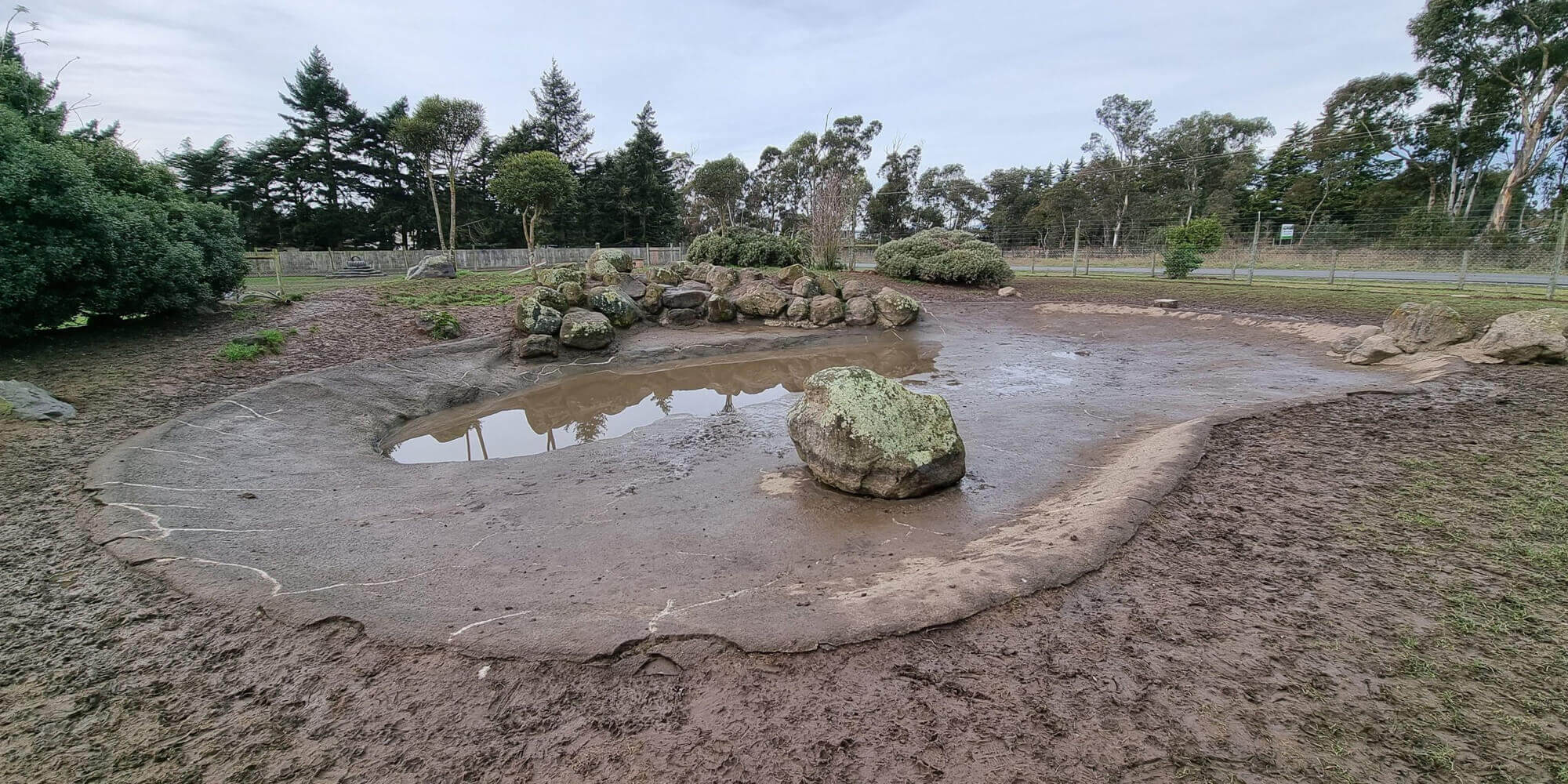 BEFORE - artificial grass for dogs