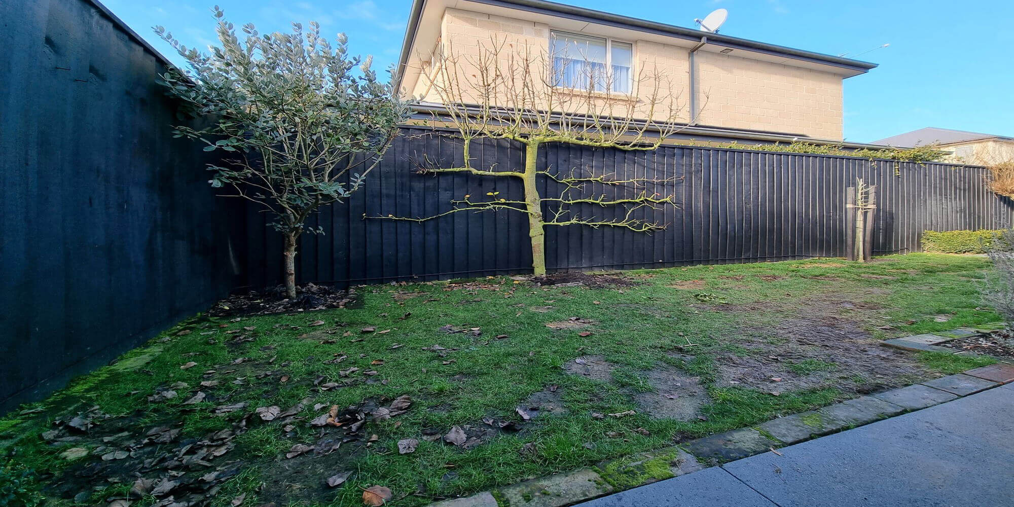 BEFORE - Artificial grass for dogs