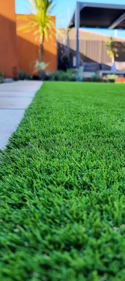 Eco Lawn