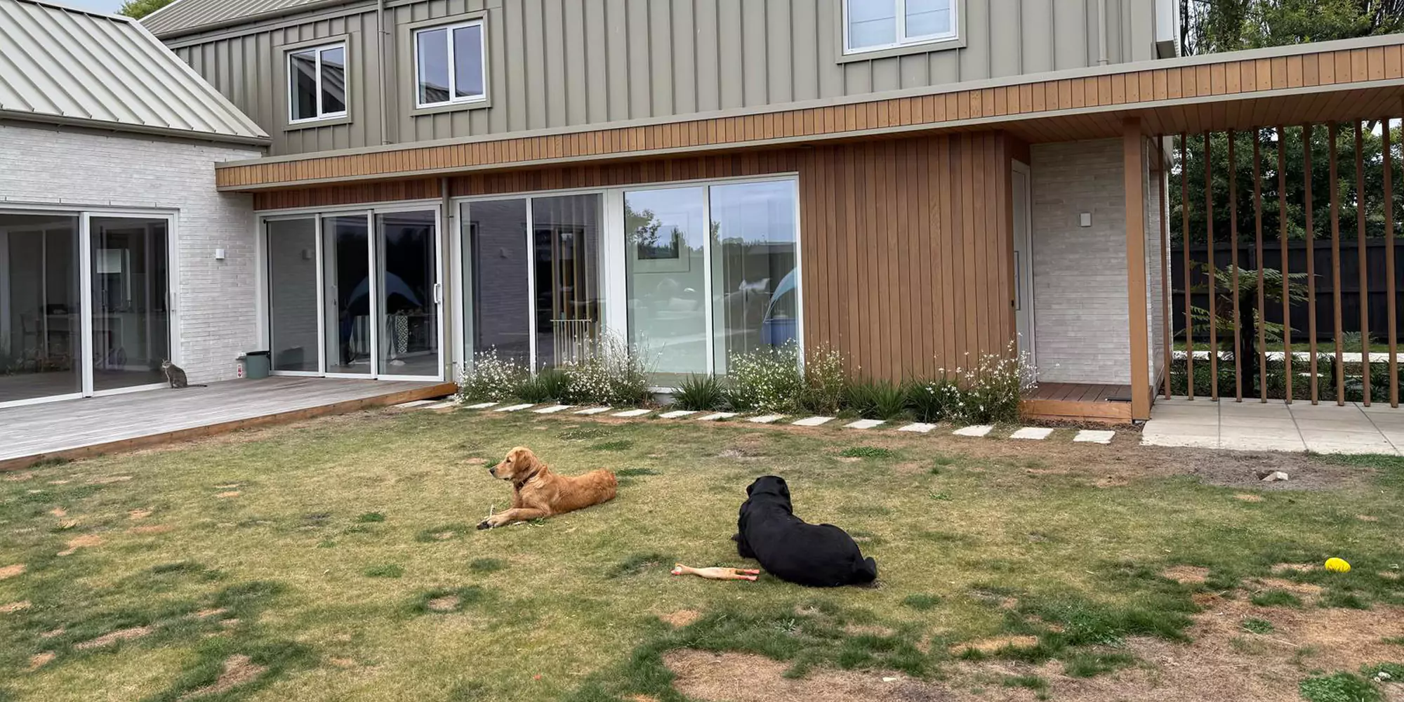 BEFORE - Artificial grass for dogs